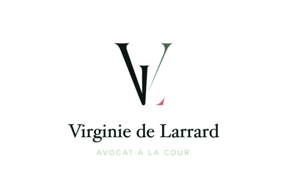 Virginie de Larrard - Avocat à la cour